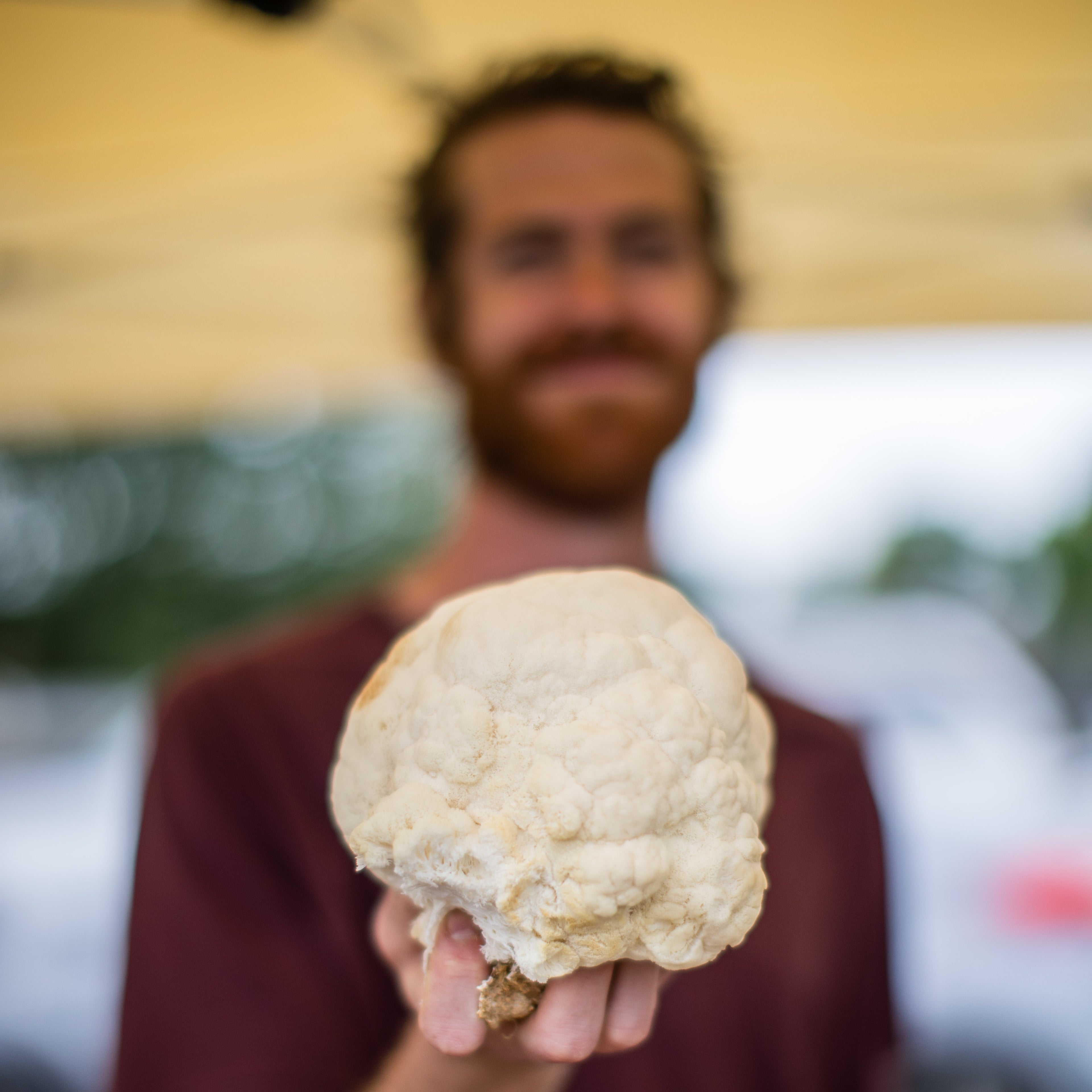 The founder holding a large clump of Lions Mane with a blurred background
