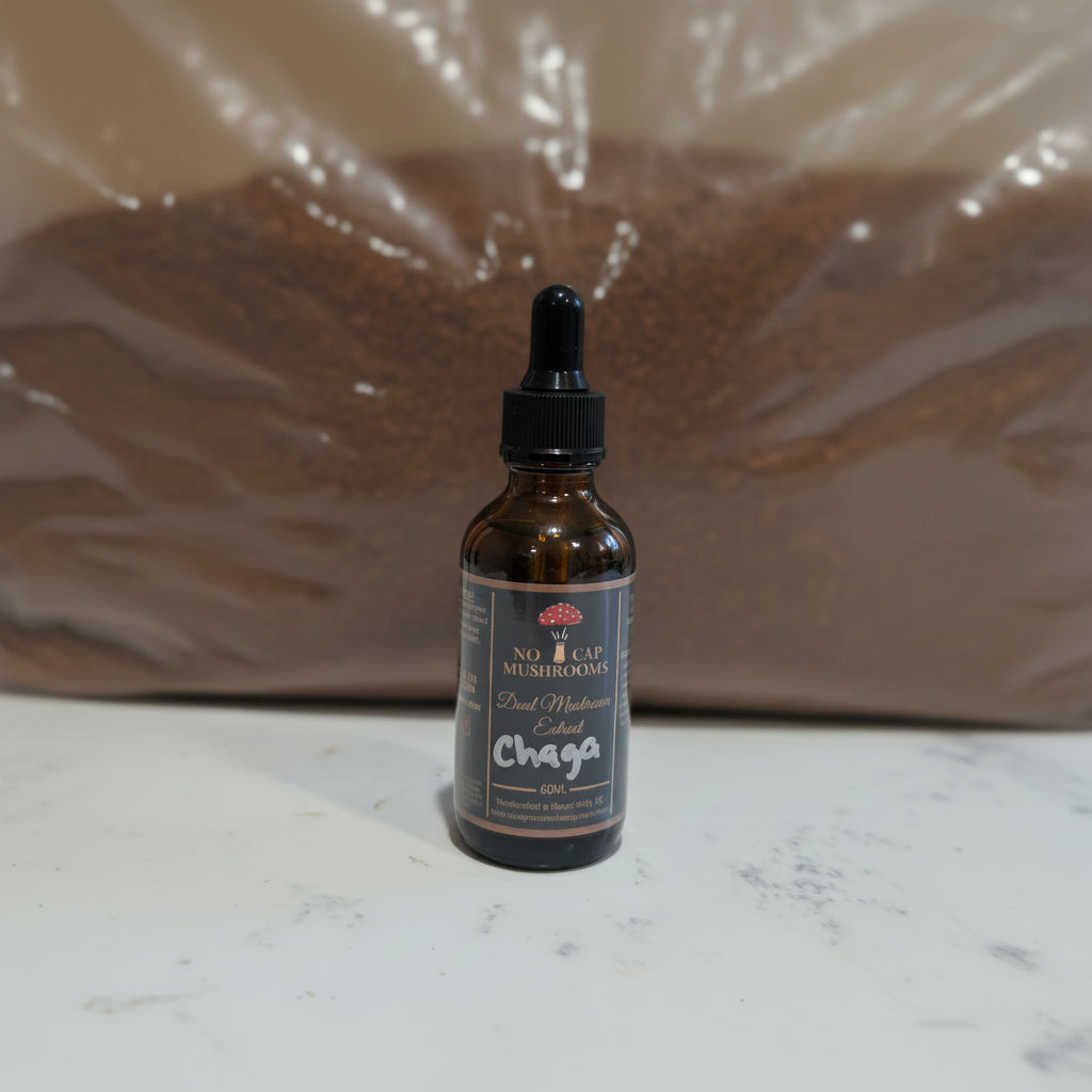 A bottle of Chaga extract tincture with a black dropper cap, placed next to a clear plastic bag containing ground chaga powder.