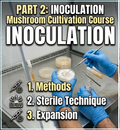 Intro To Inoculation