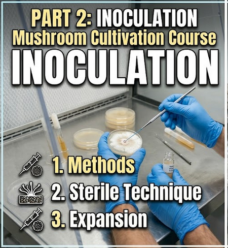 Intro To Inoculation