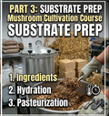 Mushroom cultivation course poster with substrate preparation steps and ingredients.